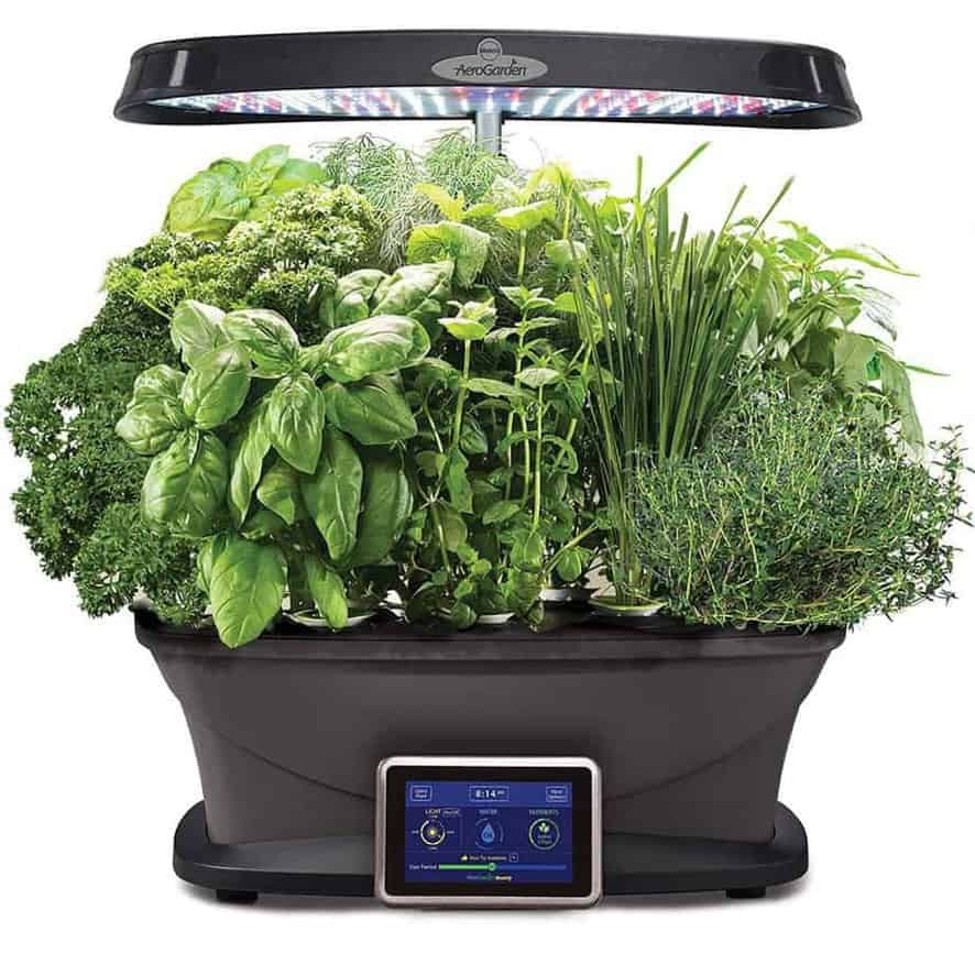 The Best Indoor Herb Garden Kits | Indoor Gardening