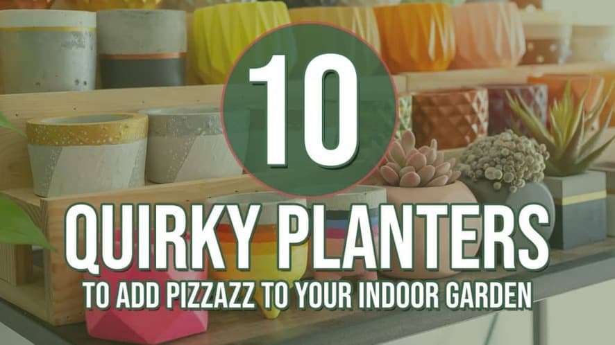 10 Quirky Planters to Add Some Pizzazz to Your Indoor Garden 