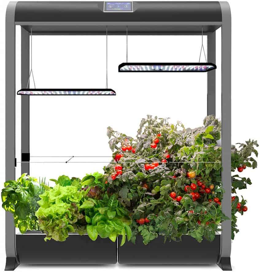 Indoor Gardening Kits - Our Top 10 Picks - Indoor Gardening