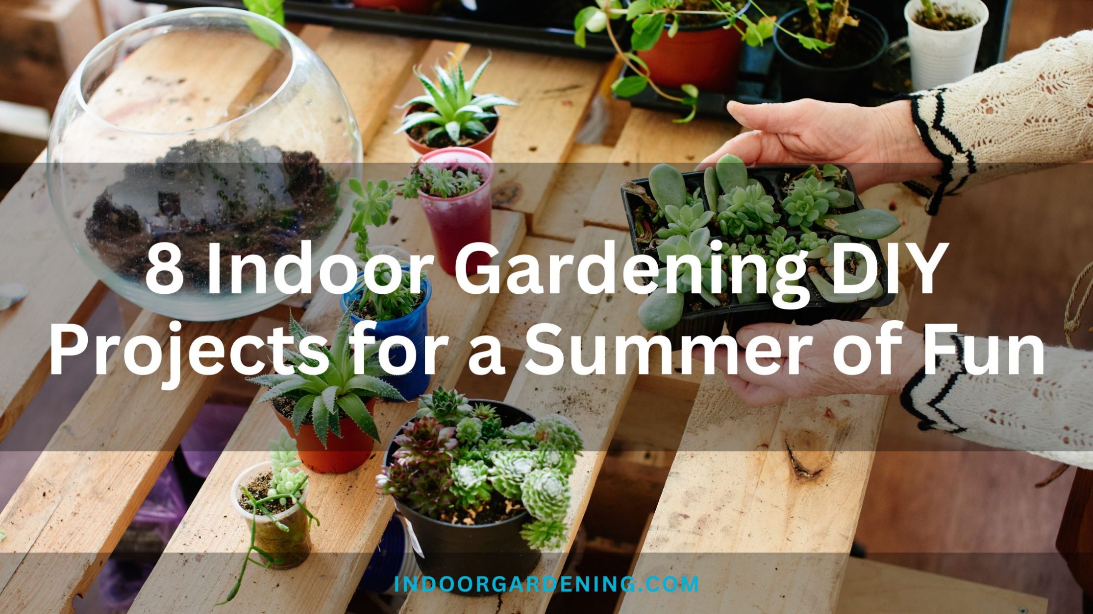 8 Indoor Gardening DIY Projects for a Summer of Fun