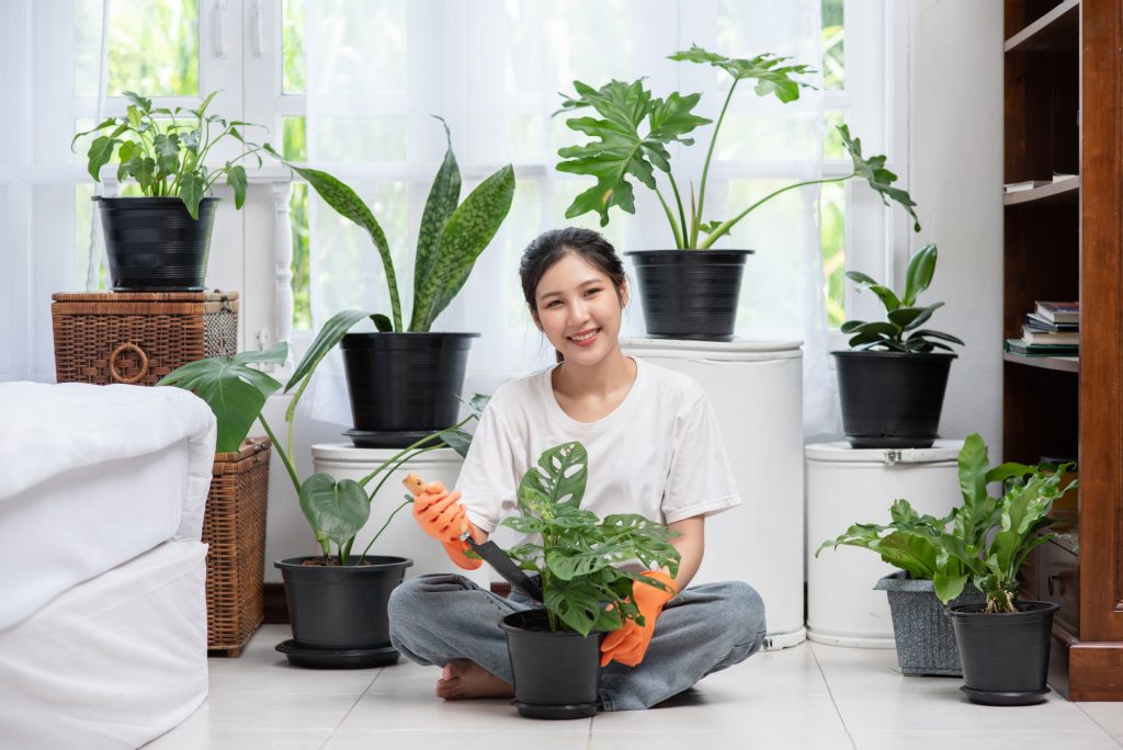 Houseplant Benefits - Air Quality