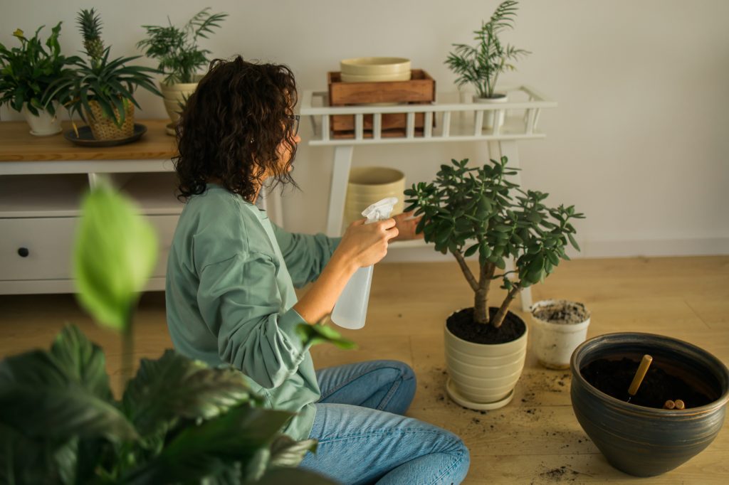 Humidity Benefit from Houseplants
