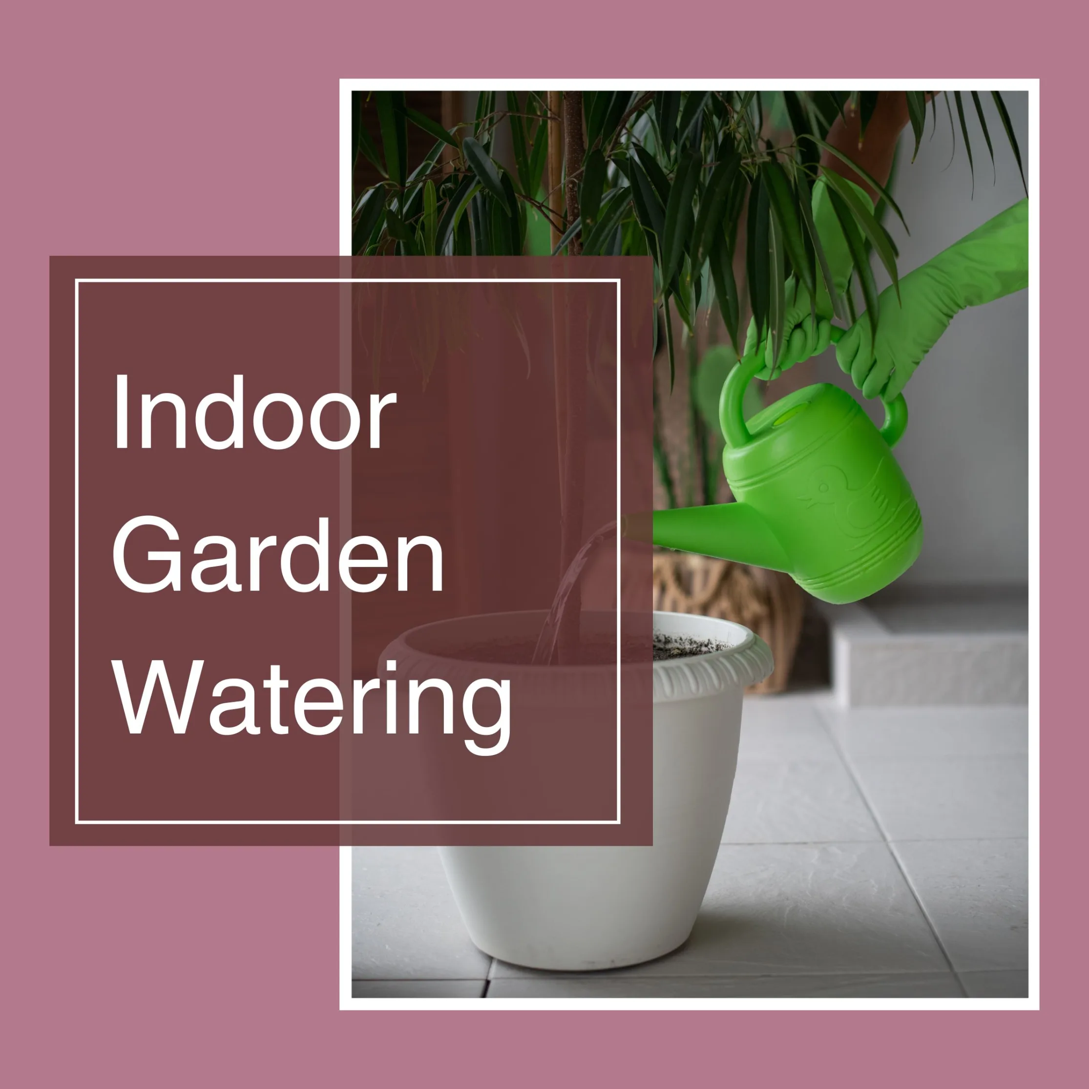 Indoor Garden Watering