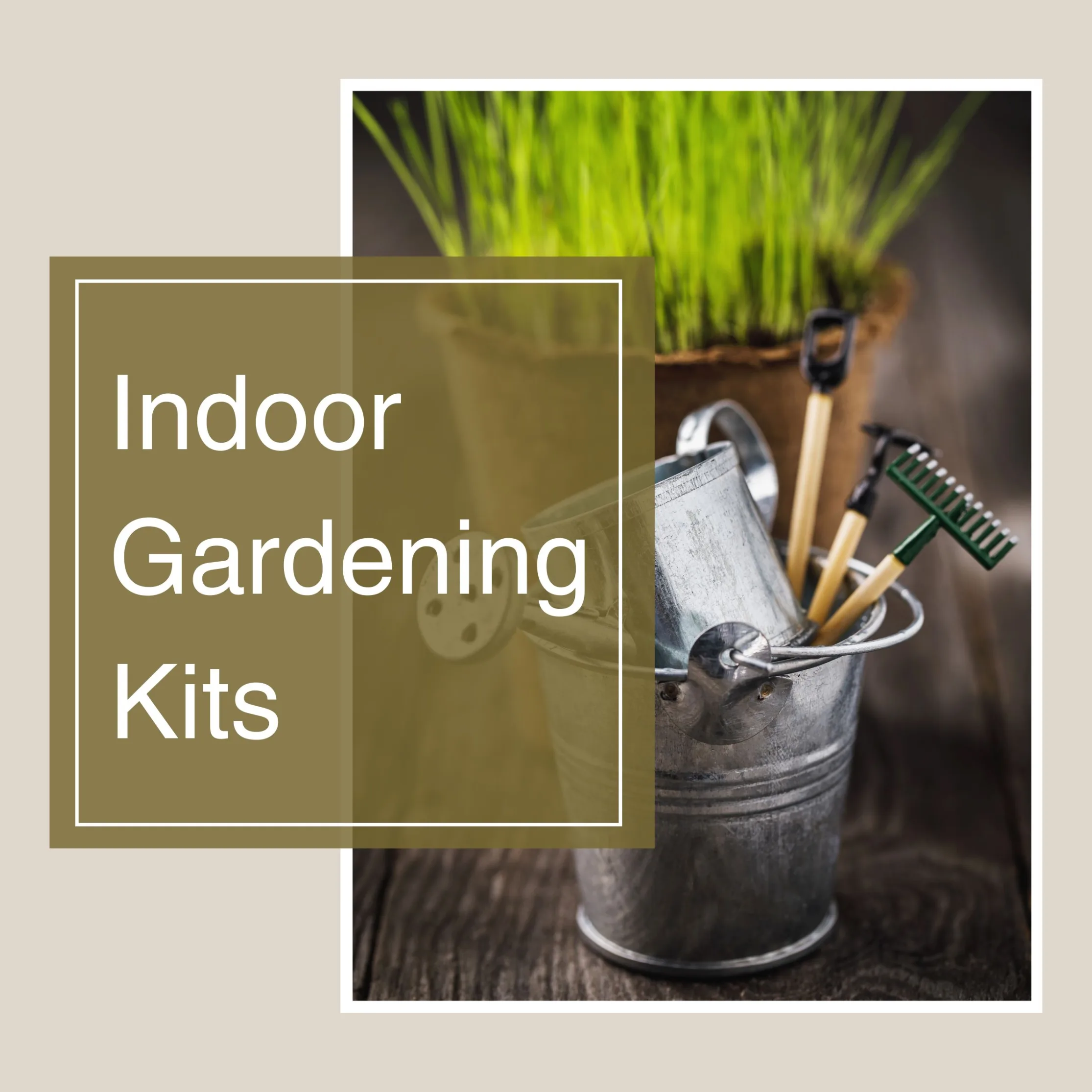 Indoor Gardening Kits