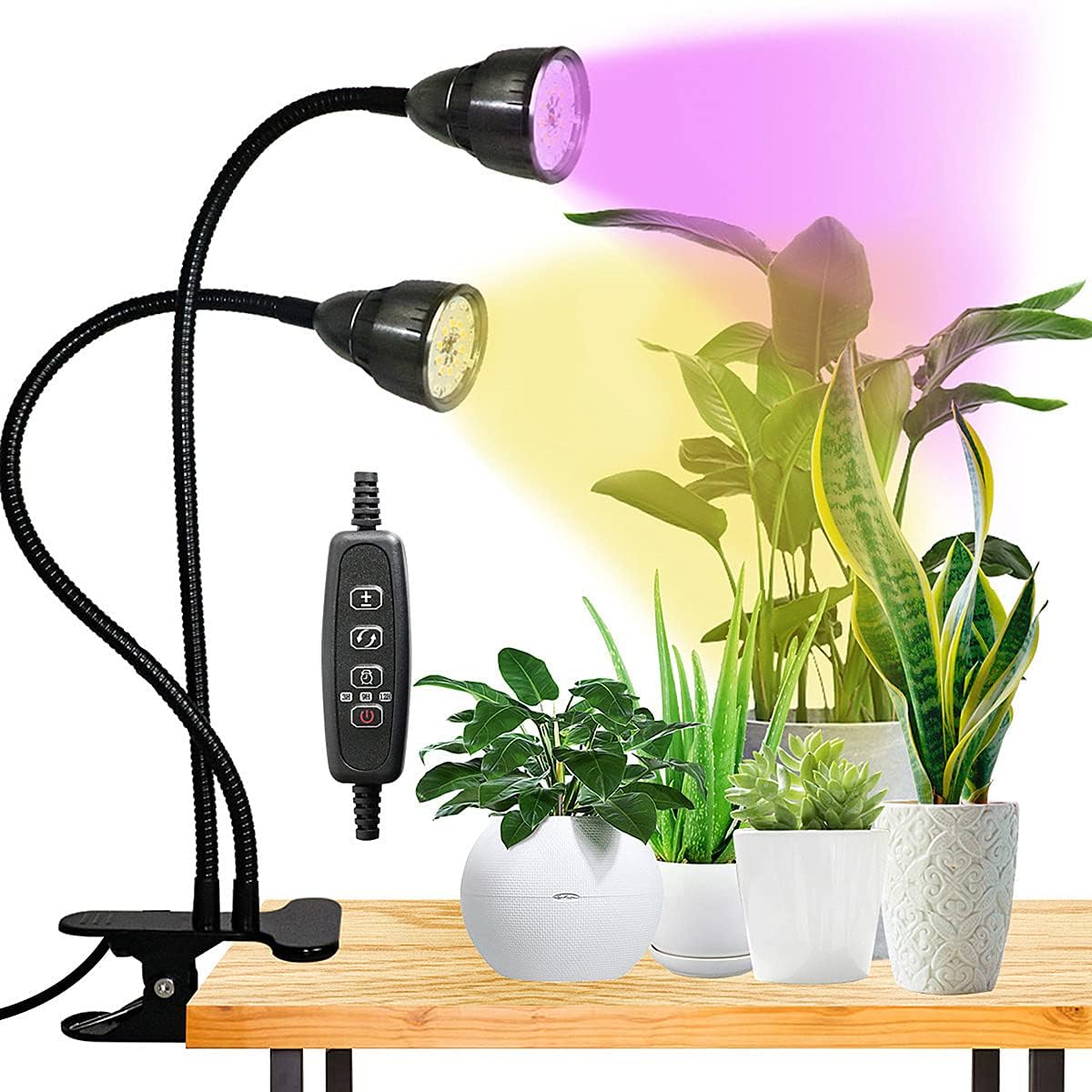 Best Grow Lights for Your Indoor Plants | Indoor Gardening
