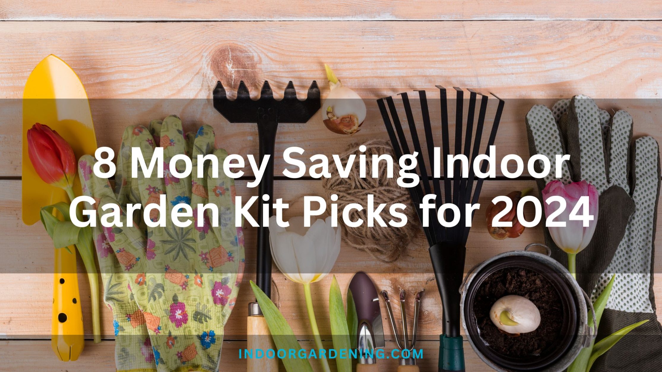 Money Saving Indoor Garden Kit Picks for 2024