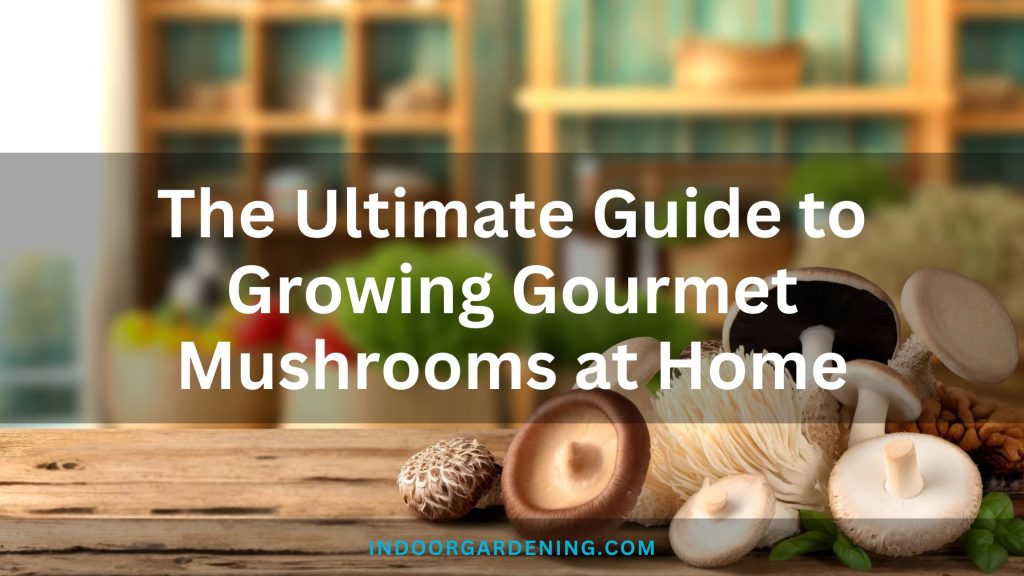 The Ultimate Guide to Growing Gourmet Mushrooms at Home