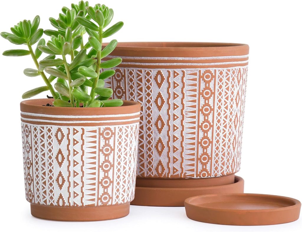 Unglazed Plant Pots