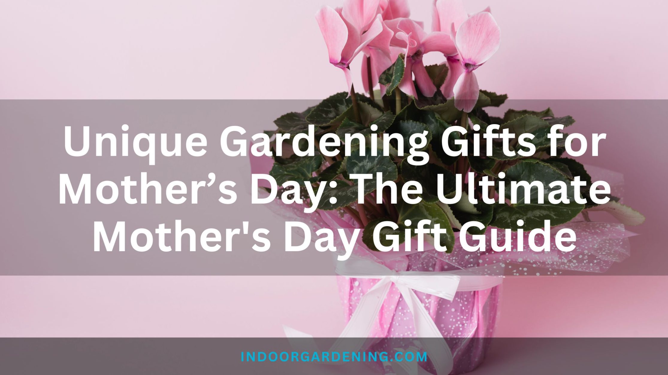 Unique Gardening Gifts for Mother’s Day